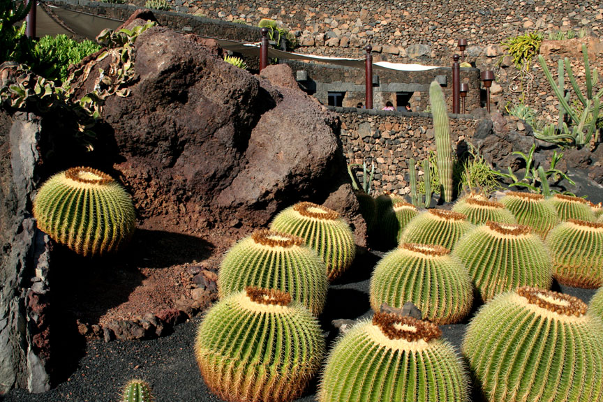 Guatiza Cactus Garden Lanzarote