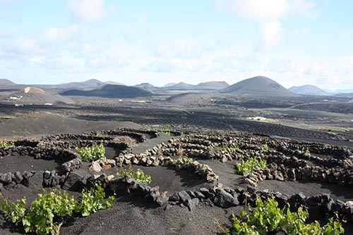La Geria Lanzarote